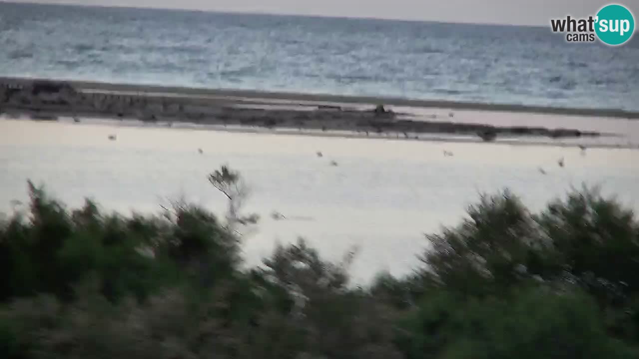 Spletna kamera Chia – Pogled v živo na plažo Su Giudeu