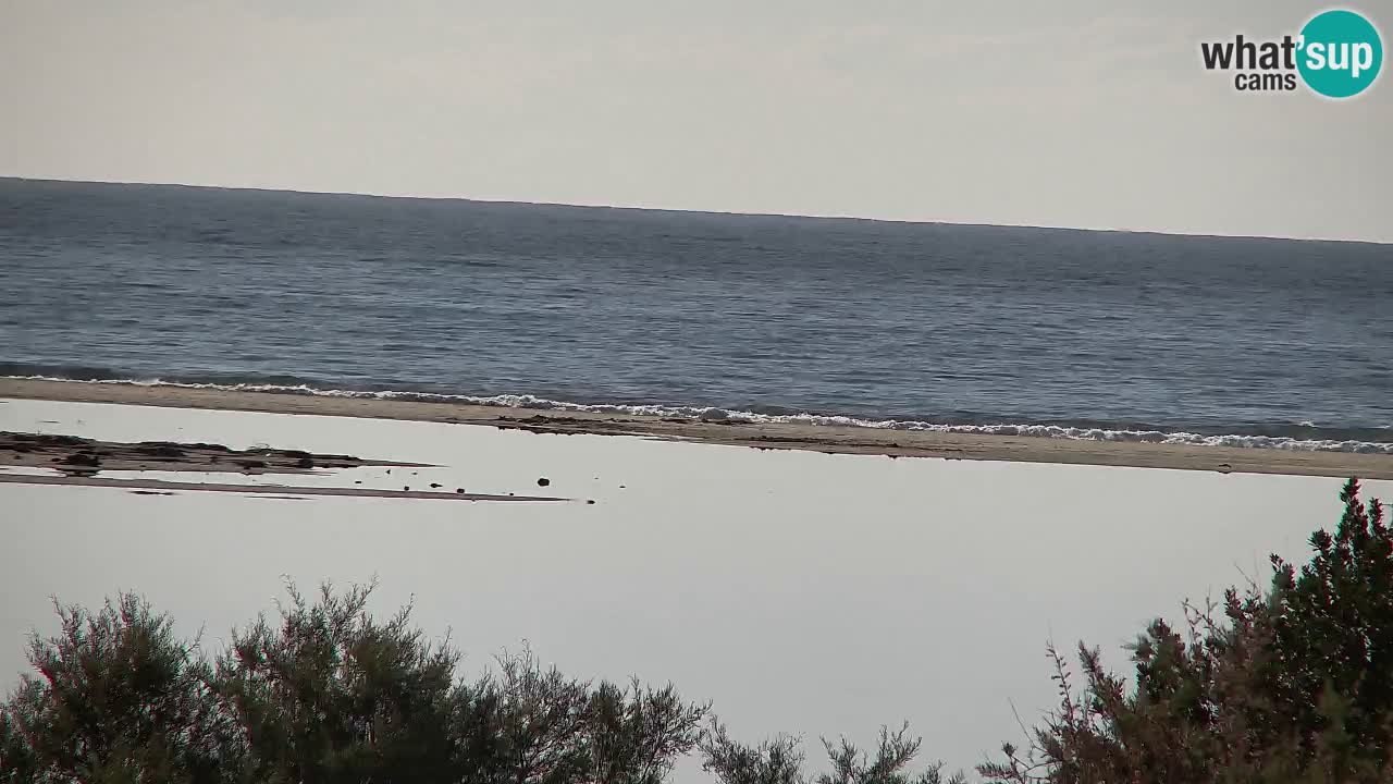 Spletna kamera Chia – Pogled v živo na plažo Su Giudeu