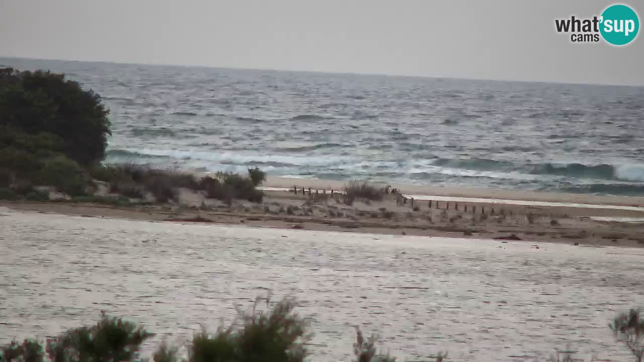 Webcam Chia – Live View of Su Giudeu Beach