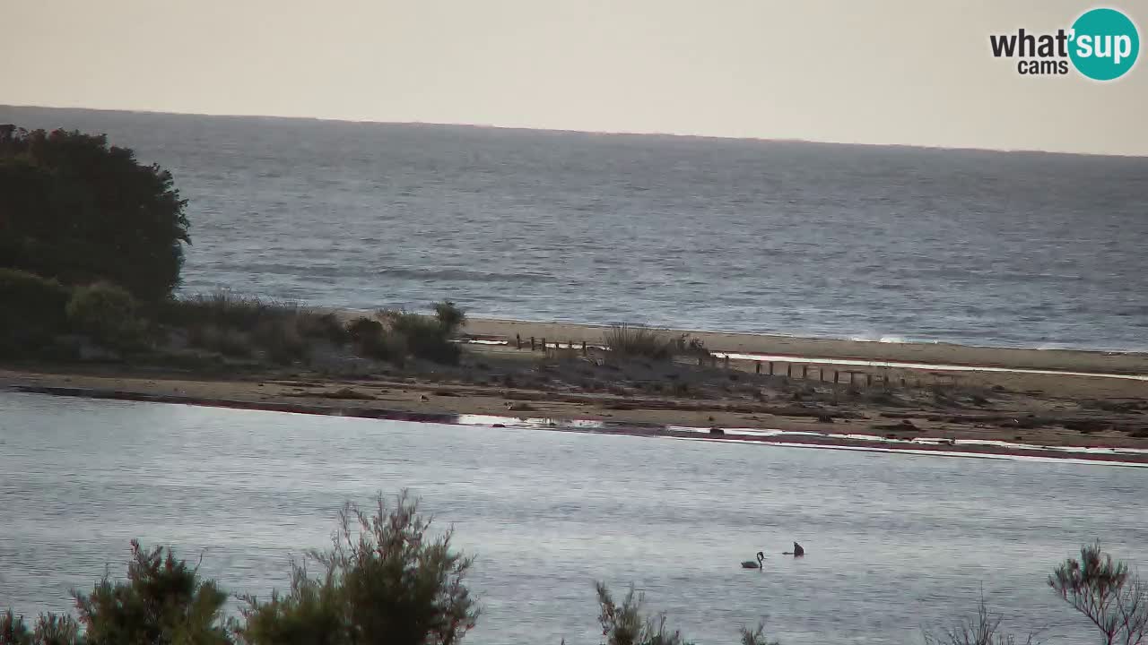 Webcam Chia – Vue en direct de la plage Su Giudeu