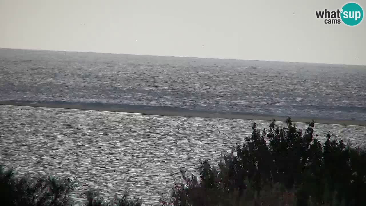 Webcam Chia – Vue en direct de la plage Su Giudeu