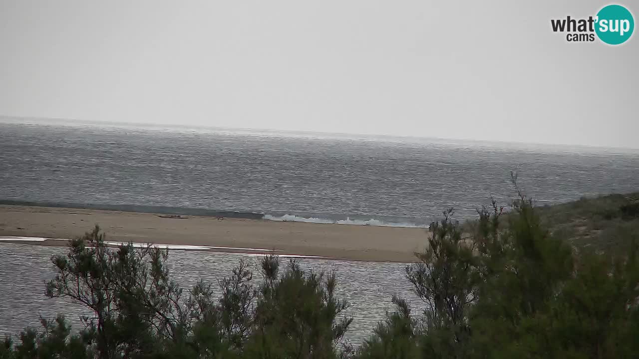Webcam Chia – Live View of Su Giudeu Beach