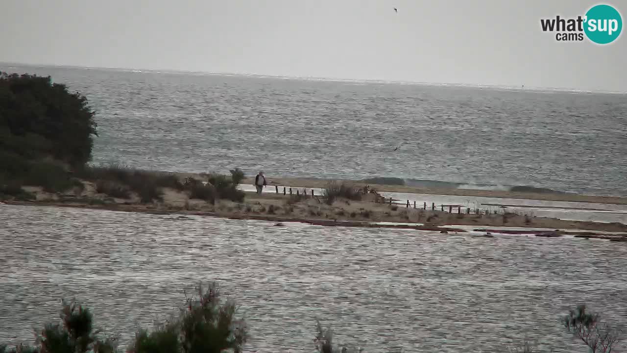 Webcam Chia – Vue en direct de la plage Su Giudeu