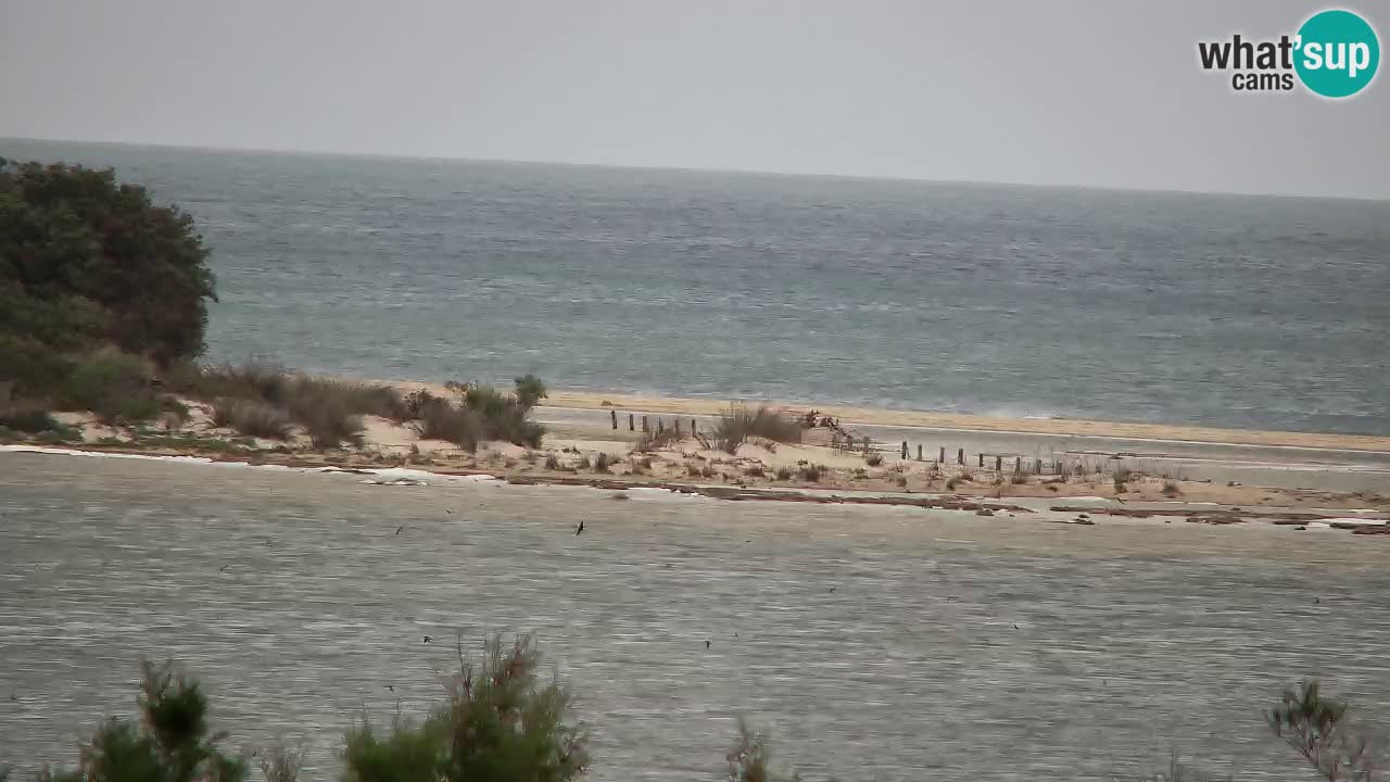 Webcam Chia – Live View of Su Giudeu Beach
