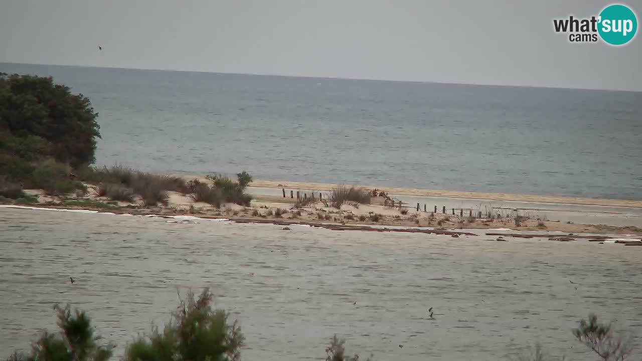 Webcam Chia – Vue en direct de la plage Su Giudeu