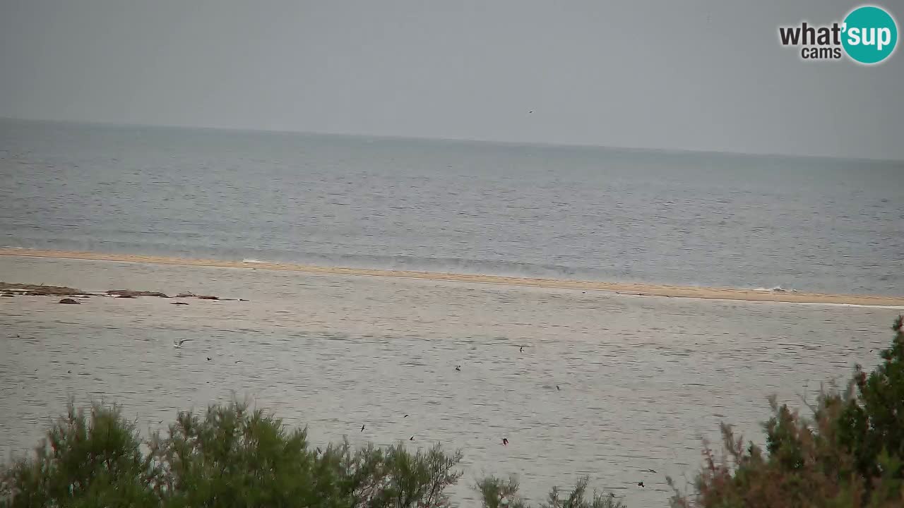 Webcam Chia – Vista en directo de la playa Su Giudeu