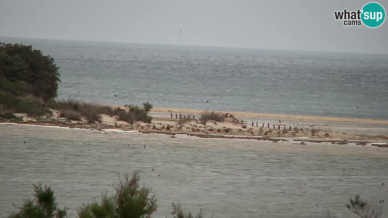 Webcam Chia – Live View of Su Giudeu Beach