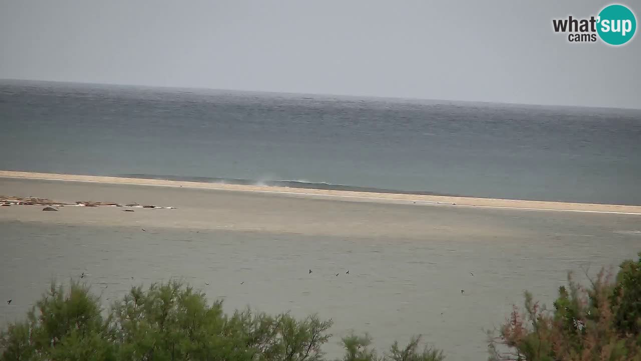 Web kamera Chia – Pogled uživo na plažu Su Giudeu