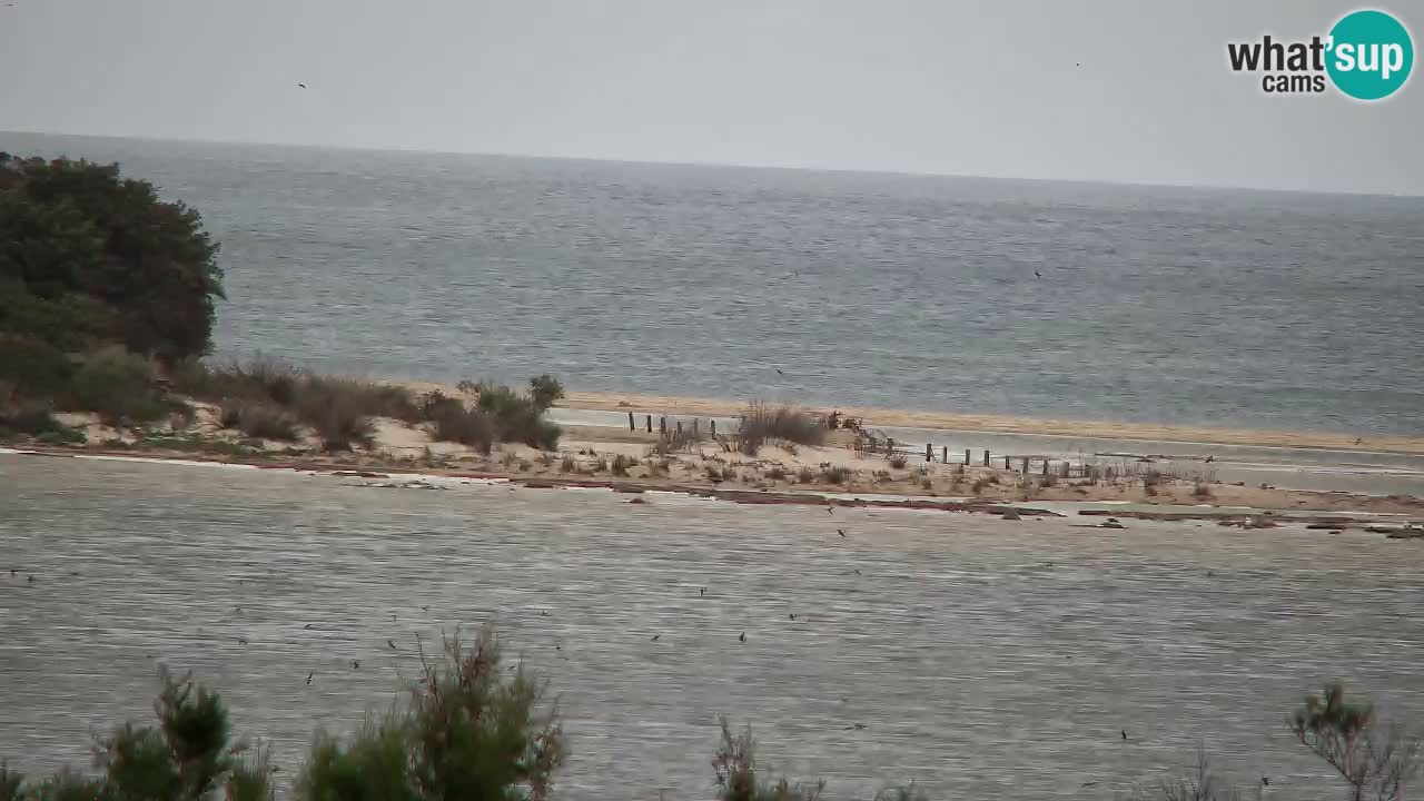 Webcam Chia – Live View of Su Giudeu Beach