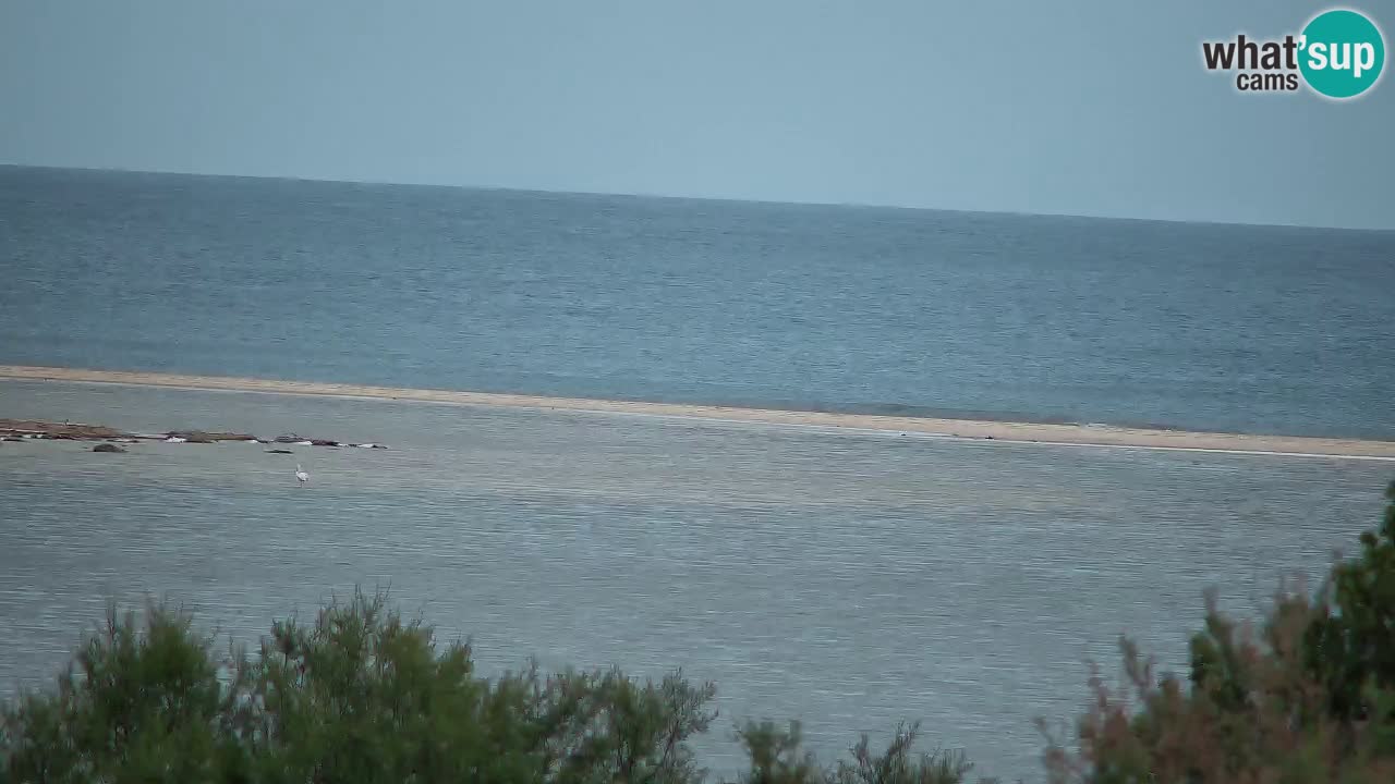 Webcam Chia – Liveblick auf den Strand Su Giudeu