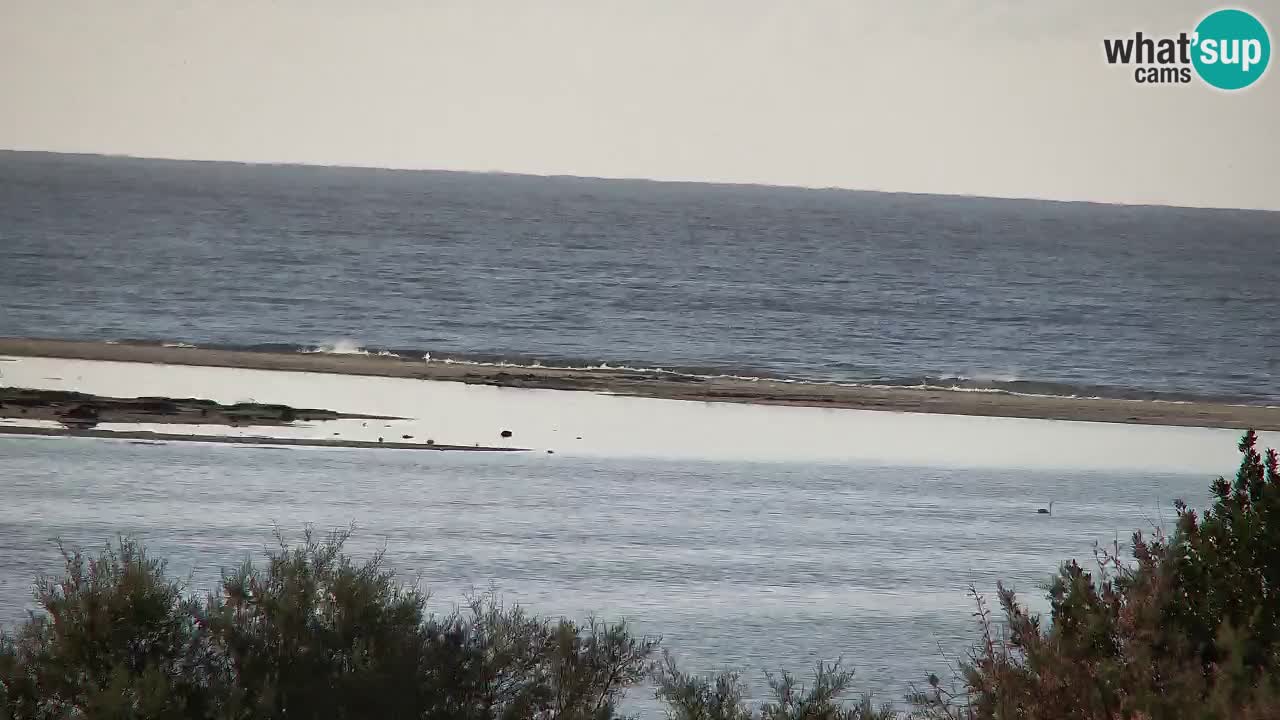 Webcam Chia – Live View of Su Giudeu Beach