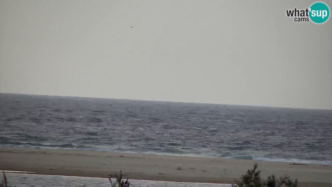 Webcam Chia – Live View of Su Giudeu Beach