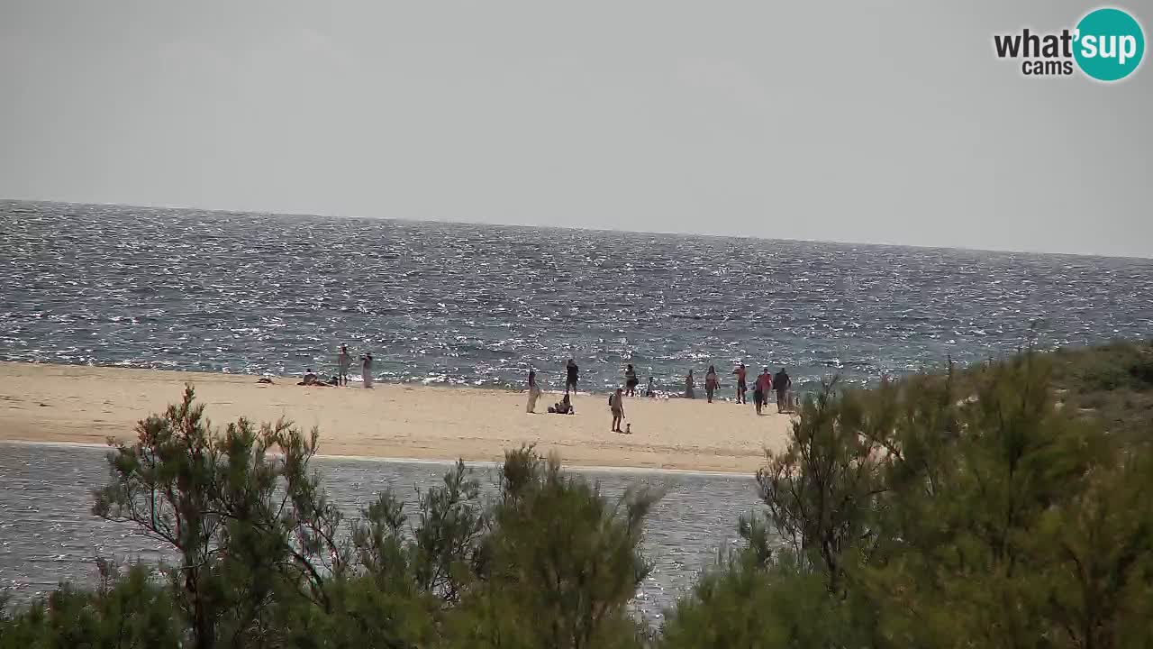 Webcam Chia – Live View of Su Giudeu Beach
