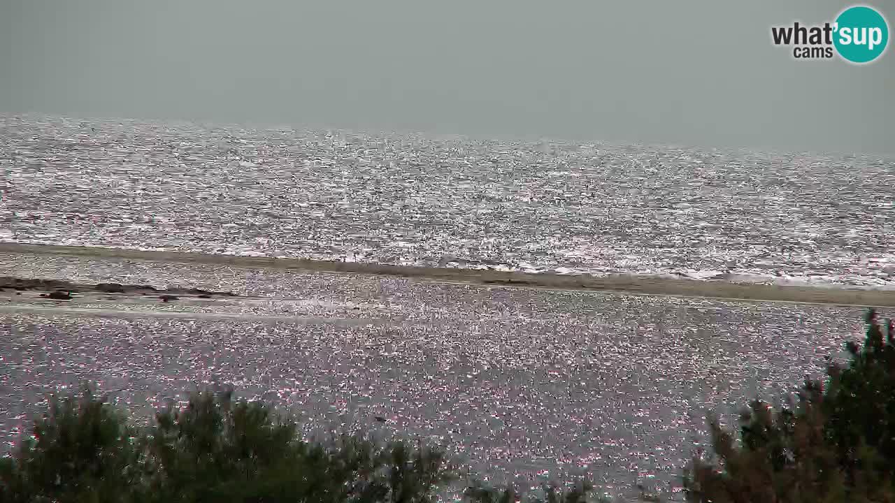 Webcam Chia – Spiaggia Su Giudeu in diretta