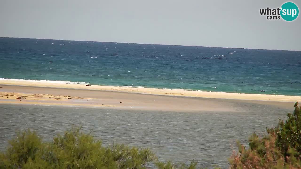 Webcam Chia – Live View of Su Giudeu Beach