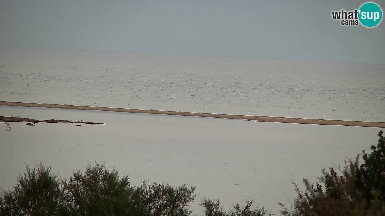 Webcam Chia – Spiaggia Su Giudeu in diretta