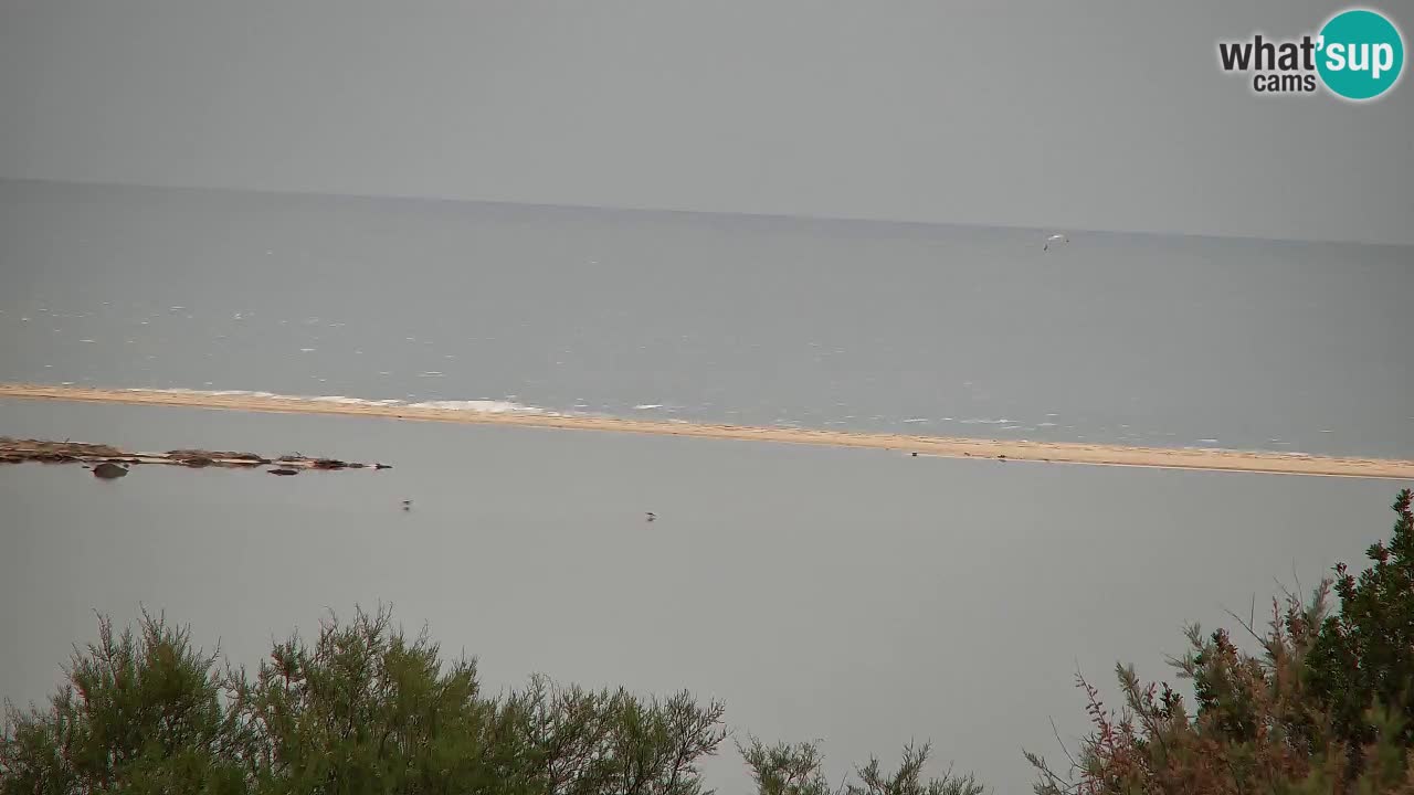 Webcam Chia – Live View of Su Giudeu Beach