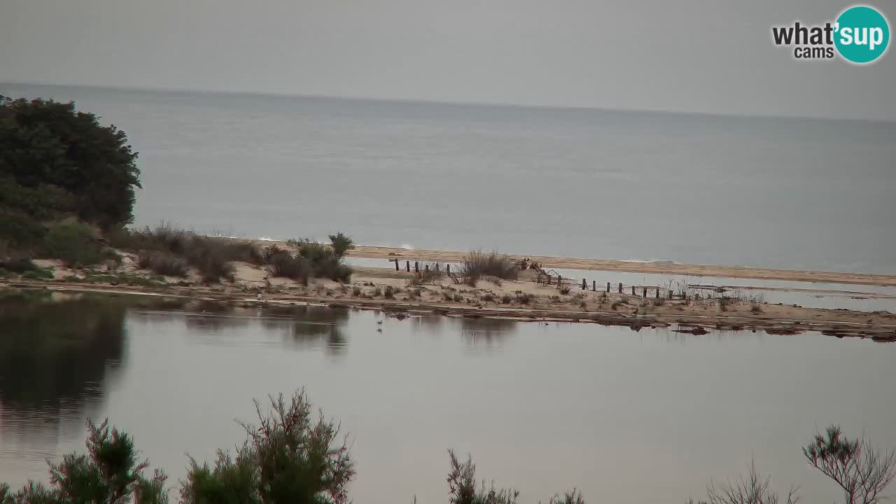 Webcam Chia – Vista en directo de la playa Su Giudeu