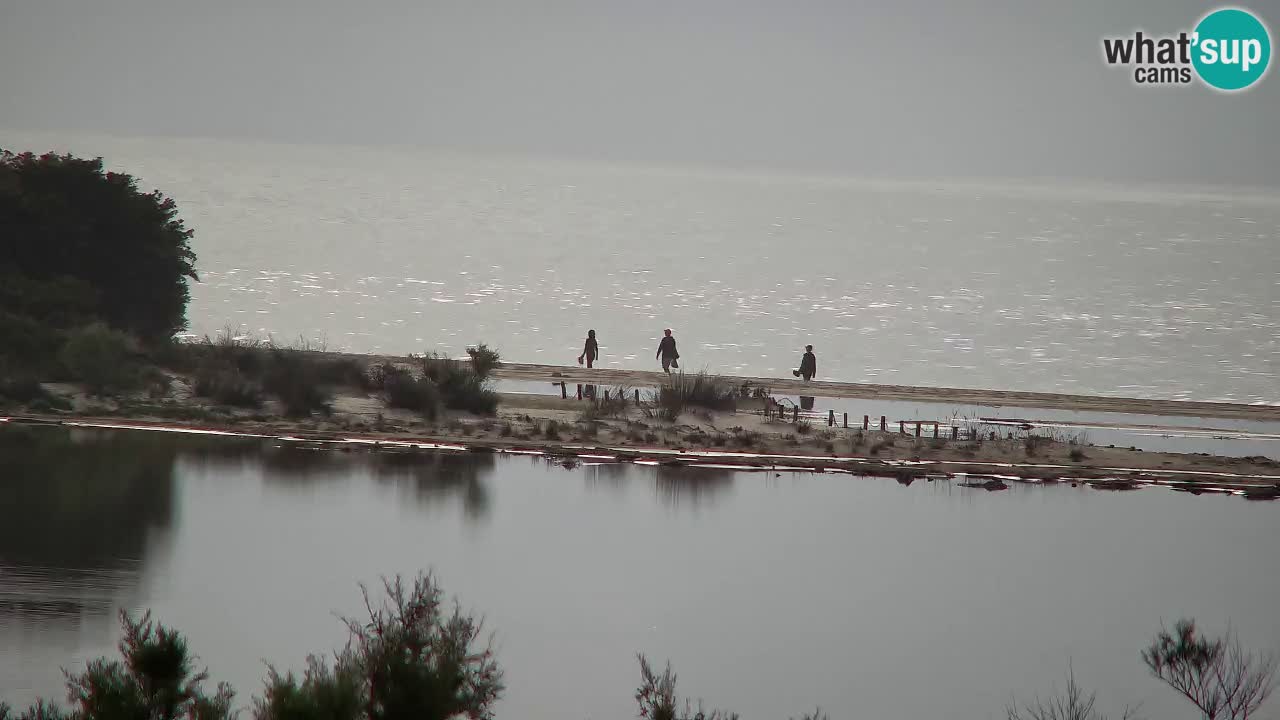 Webcam Chia – Vue en direct de la plage Su Giudeu