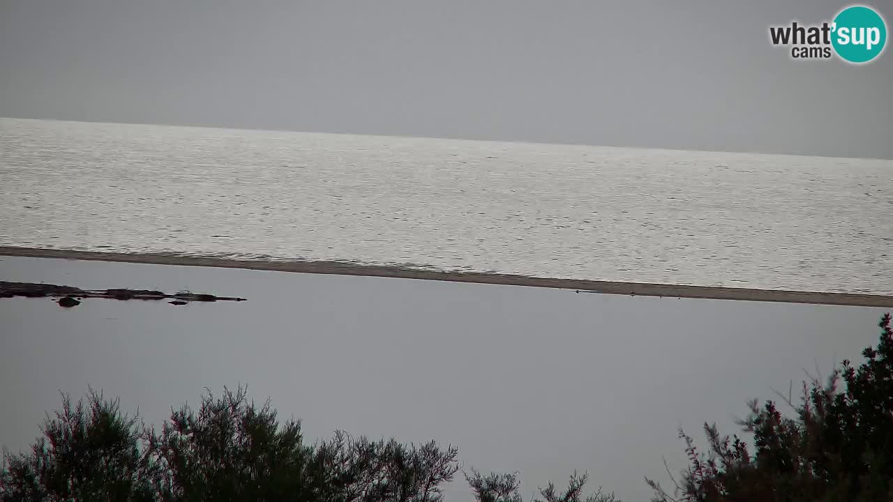 Webcam Chia – Vue en direct de la plage Su Giudeu