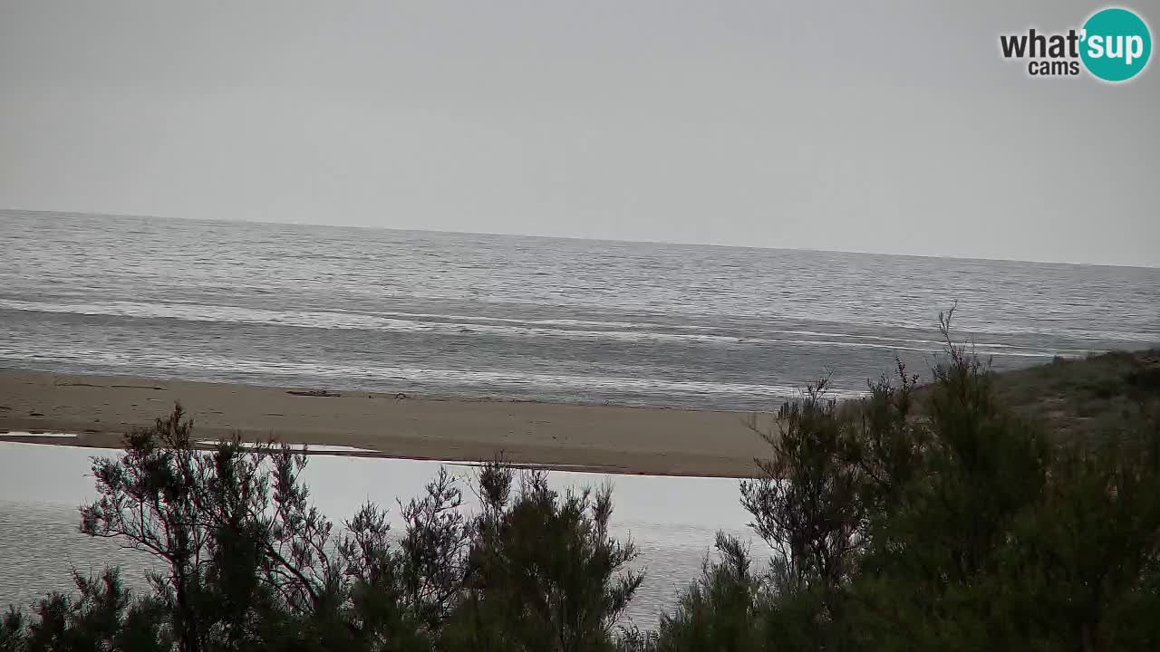 Webcam Chia – Vue en direct de la plage Su Giudeu