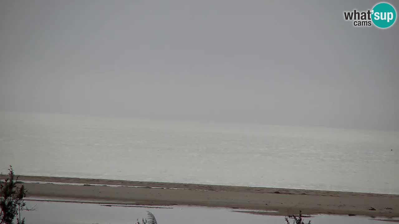 Webcam Chia – Vista en directo de la playa Su Giudeu