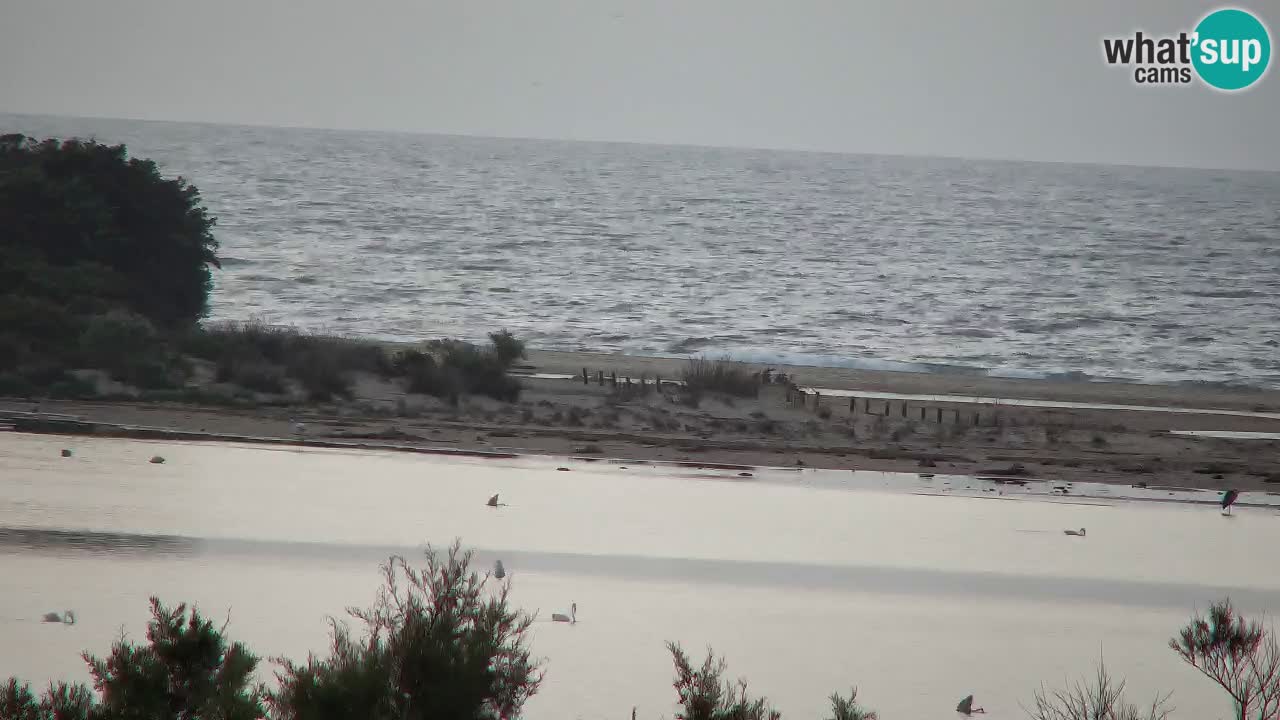 Webcam Chia – Live View of Su Giudeu Beach