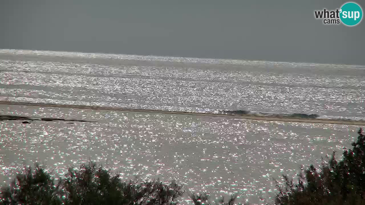 Webcam Chia – Live View of Su Giudeu Beach
