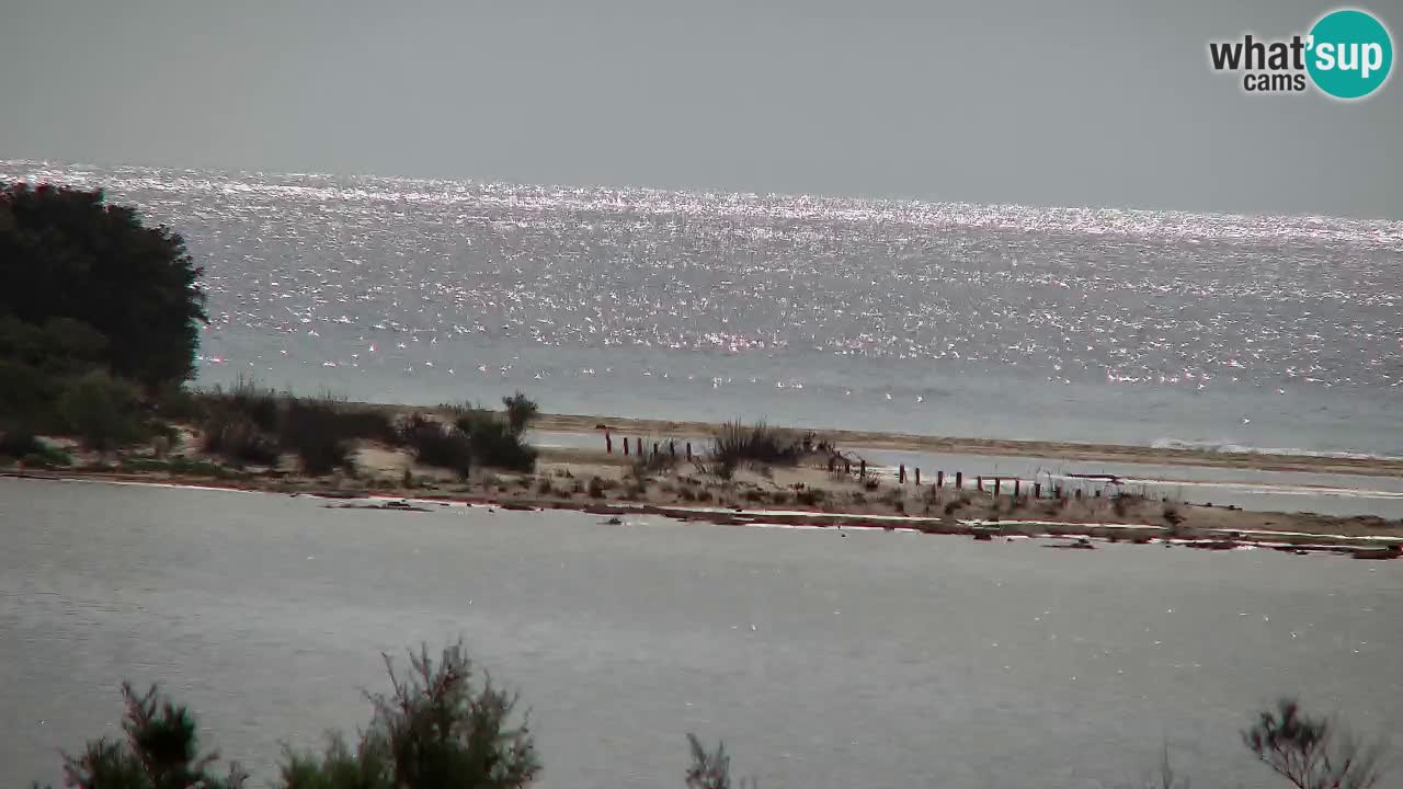 Webcam Chia – Live View of Su Giudeu Beach