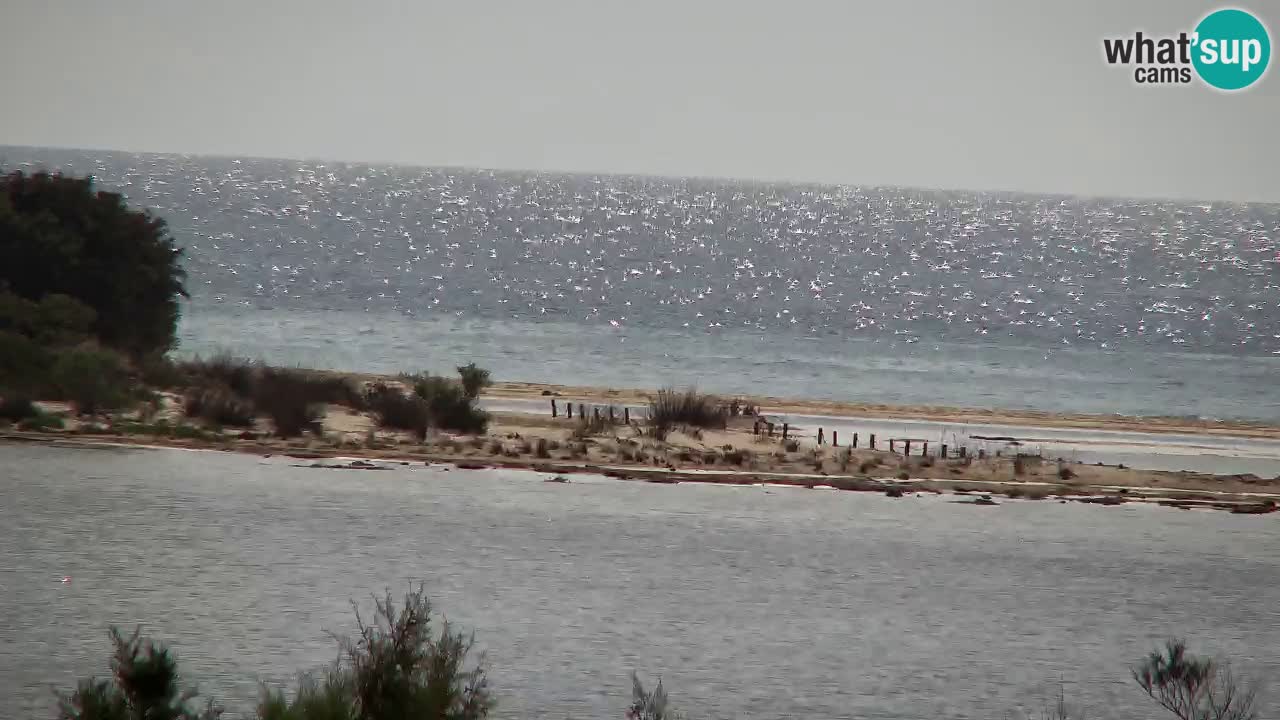 Webcam Chia – Liveblick auf den Strand Su Giudeu