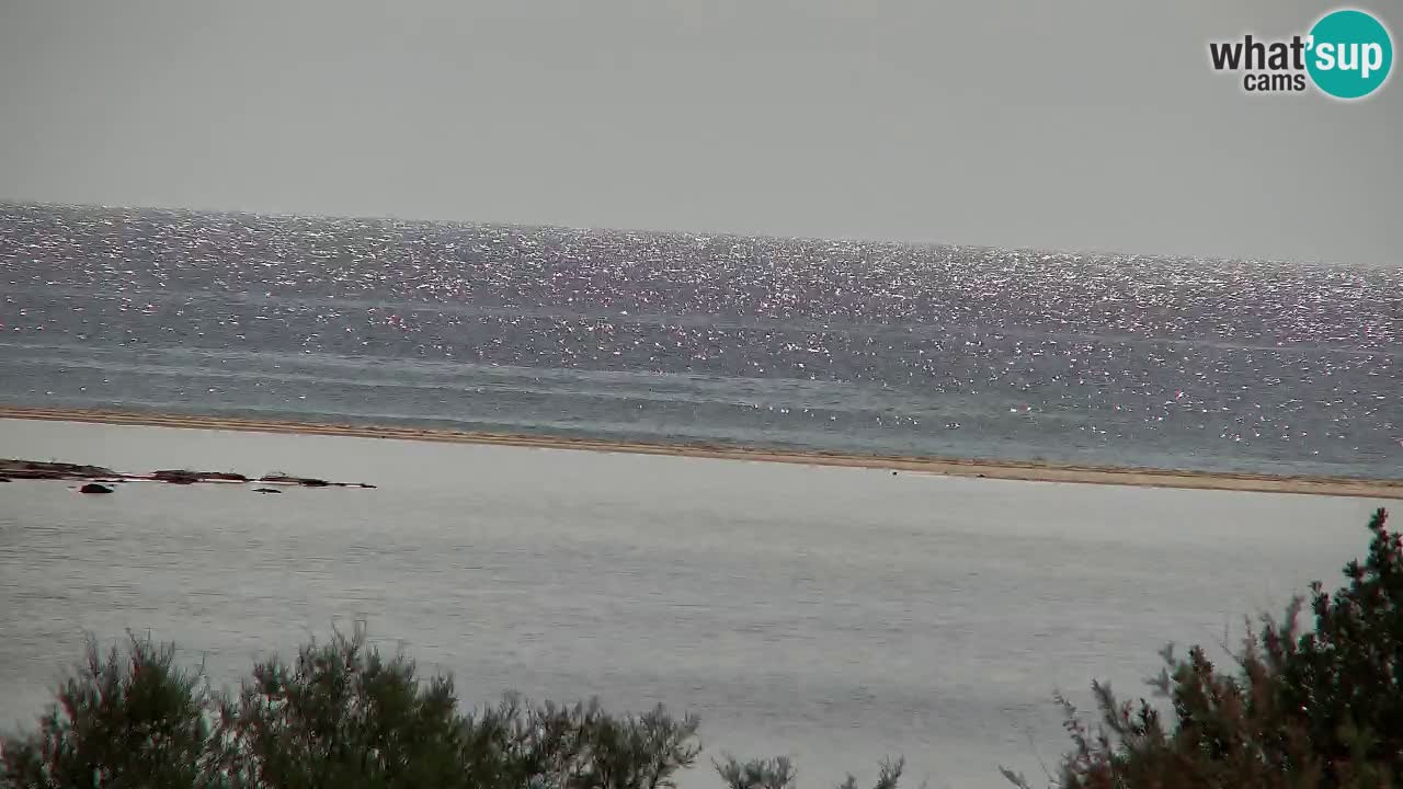 Webcam Chia – Live View of Su Giudeu Beach