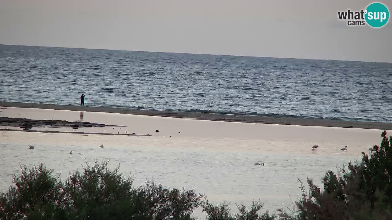 Webcam Chia – Live View of Su Giudeu Beach