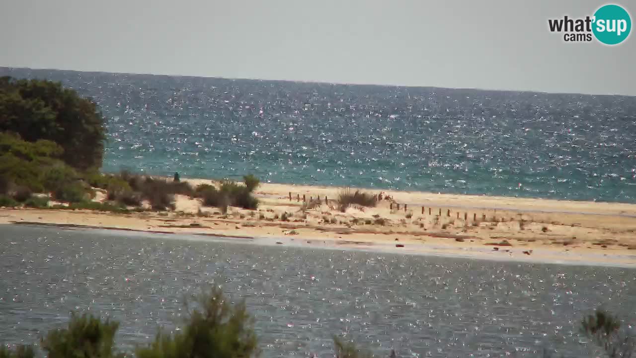 Webcam Chia – Vue en direct de la plage Su Giudeu