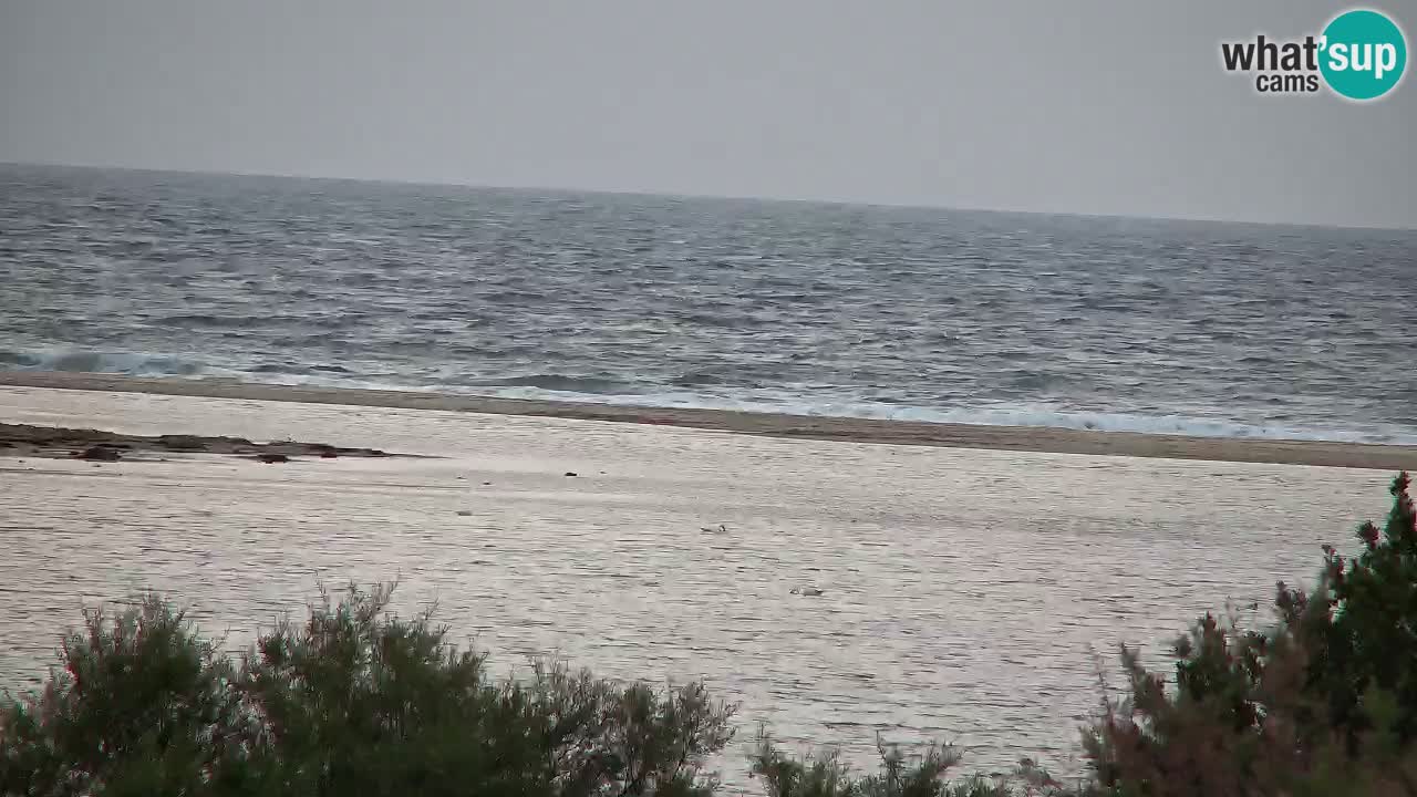 Web kamera Chia – Pogled uživo na plažu Su Giudeu