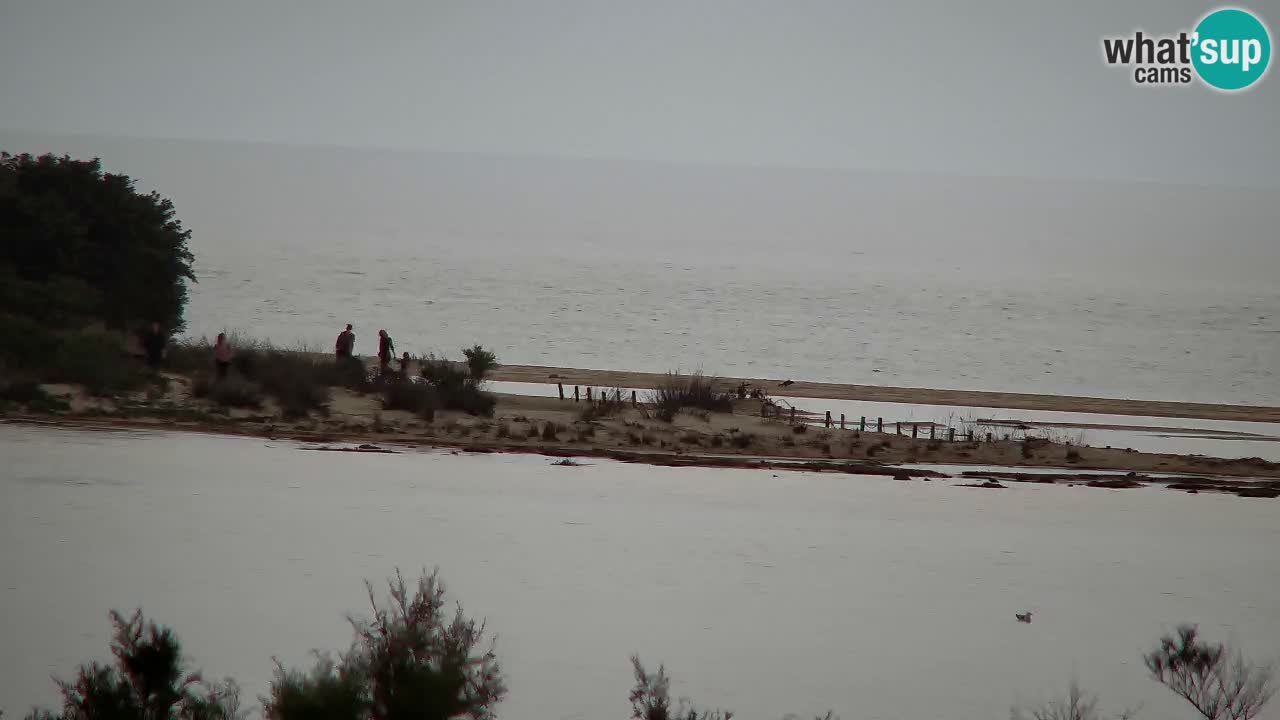 Webcam Chia – Live View of Su Giudeu Beach