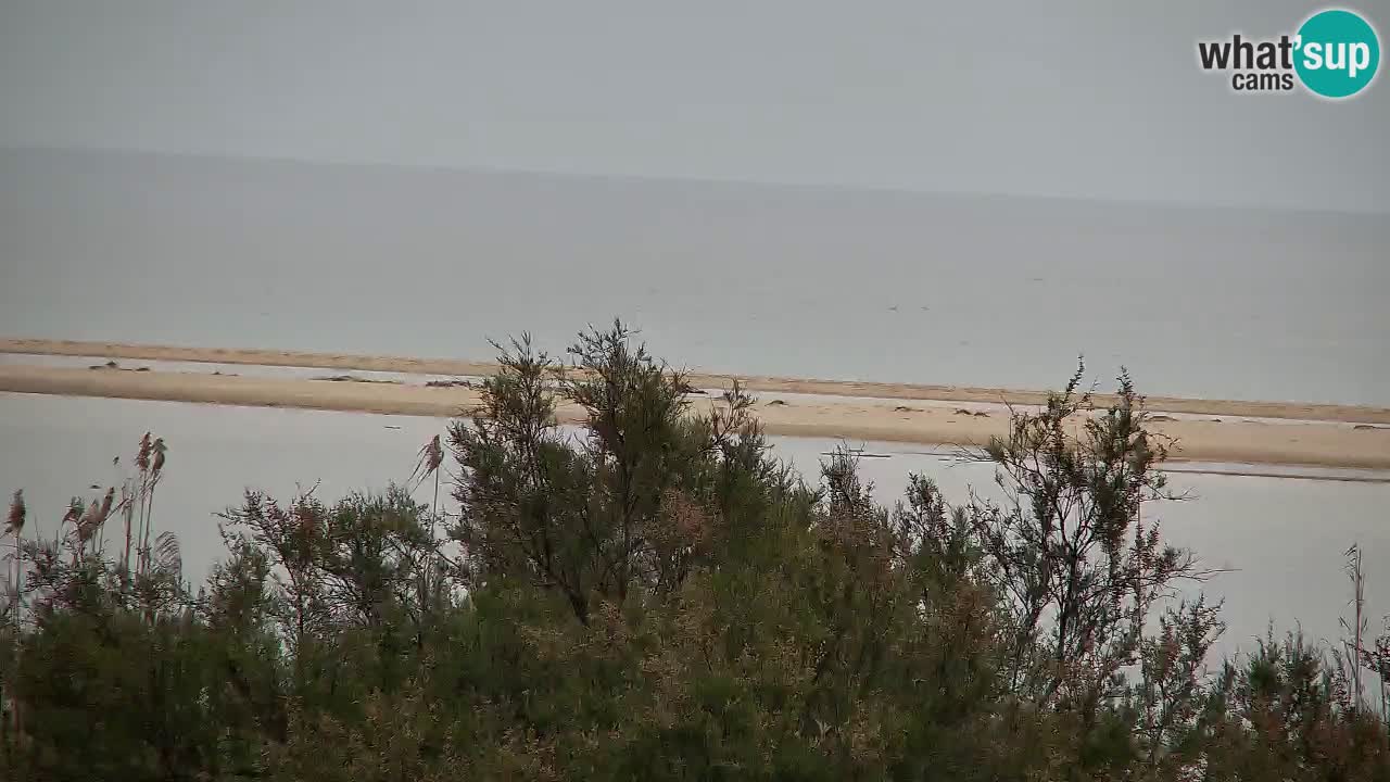 Spletna kamera Chia – Pogled v živo na plažo Su Giudeu