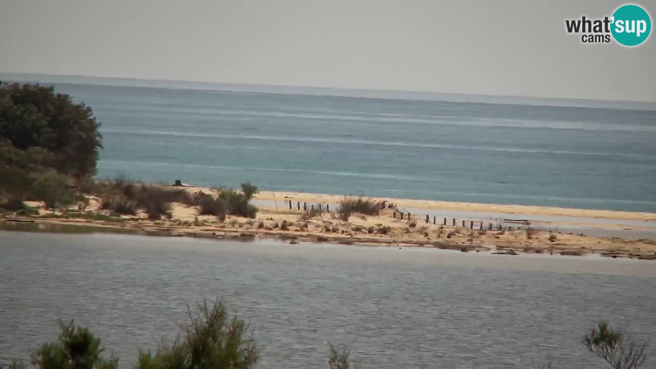 Webcam Chia – Vista en directo de la playa Su Giudeu