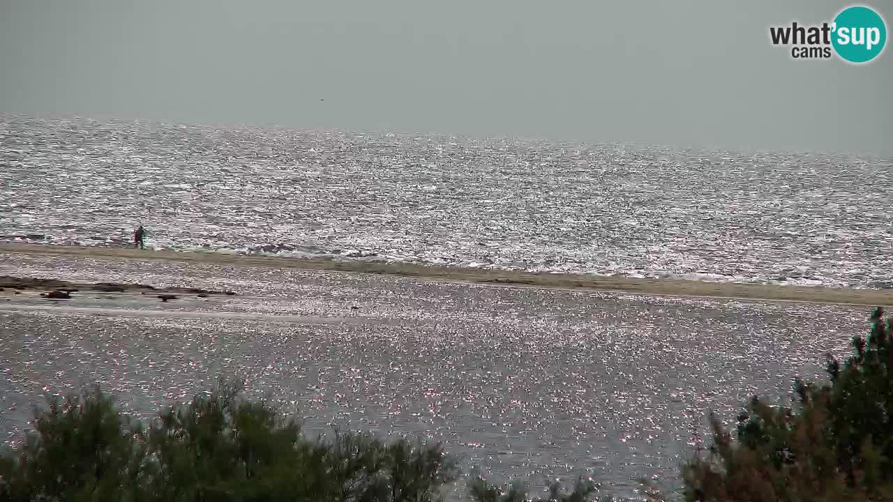 Spletna kamera Chia – Pogled v živo na plažo Su Giudeu