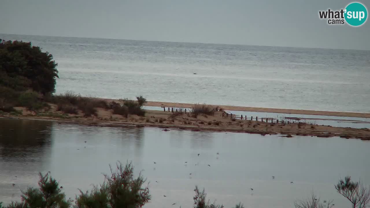 Web kamera Chia – Pogled uživo na plažu Su Giudeu