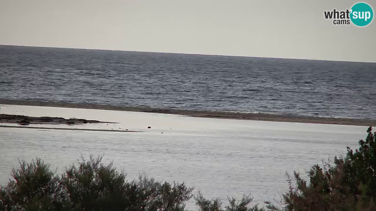 Webcam Chia – Vue en direct de la plage Su Giudeu