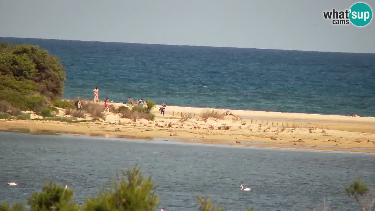 Webcam Chia – Liveblick auf den Strand Su Giudeu