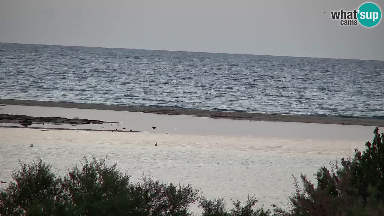 Spletna kamera Chia – Pogled v živo na plažo Su Giudeu