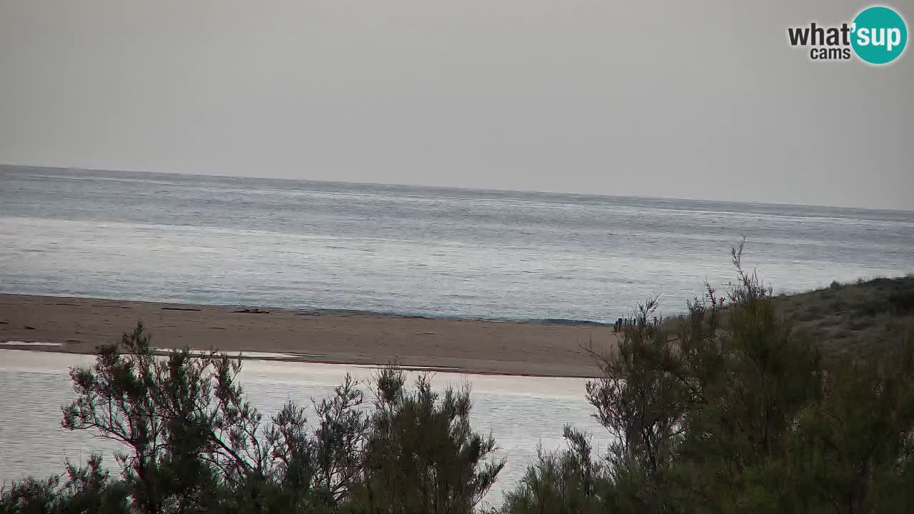 Webcam Chia – Live View of Su Giudeu Beach