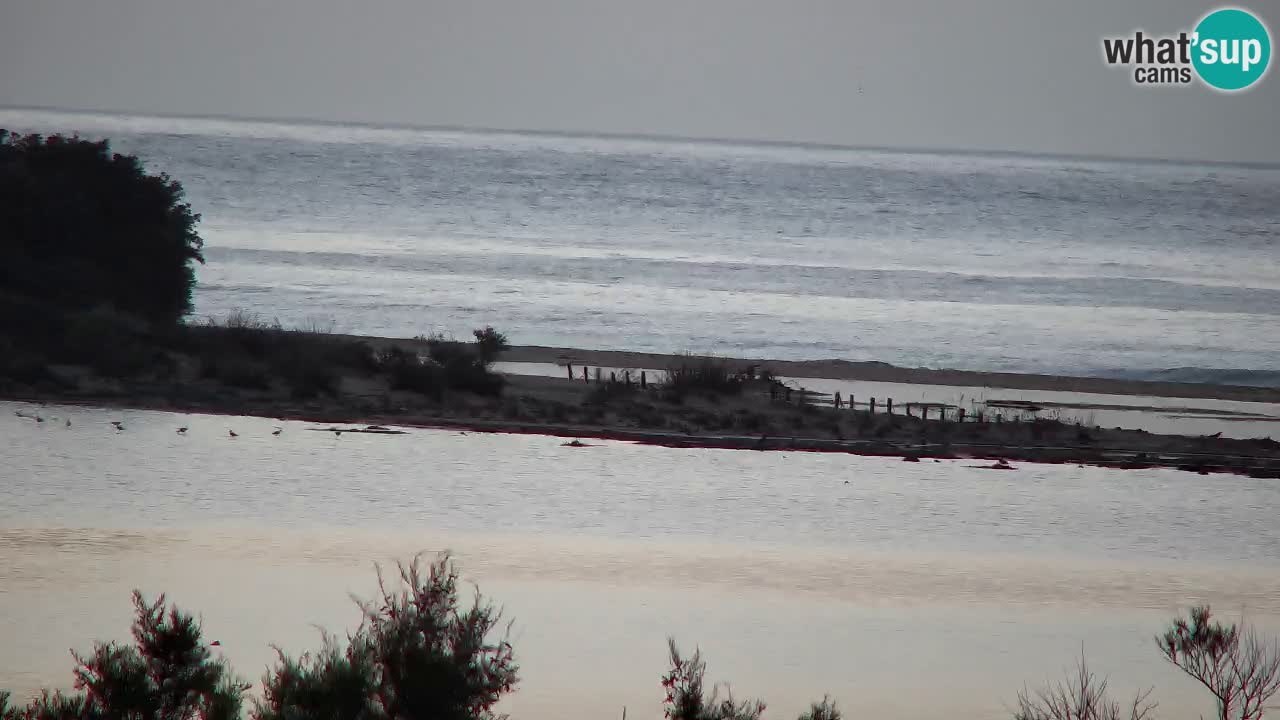 Webcam Chia – Live View of Su Giudeu Beach