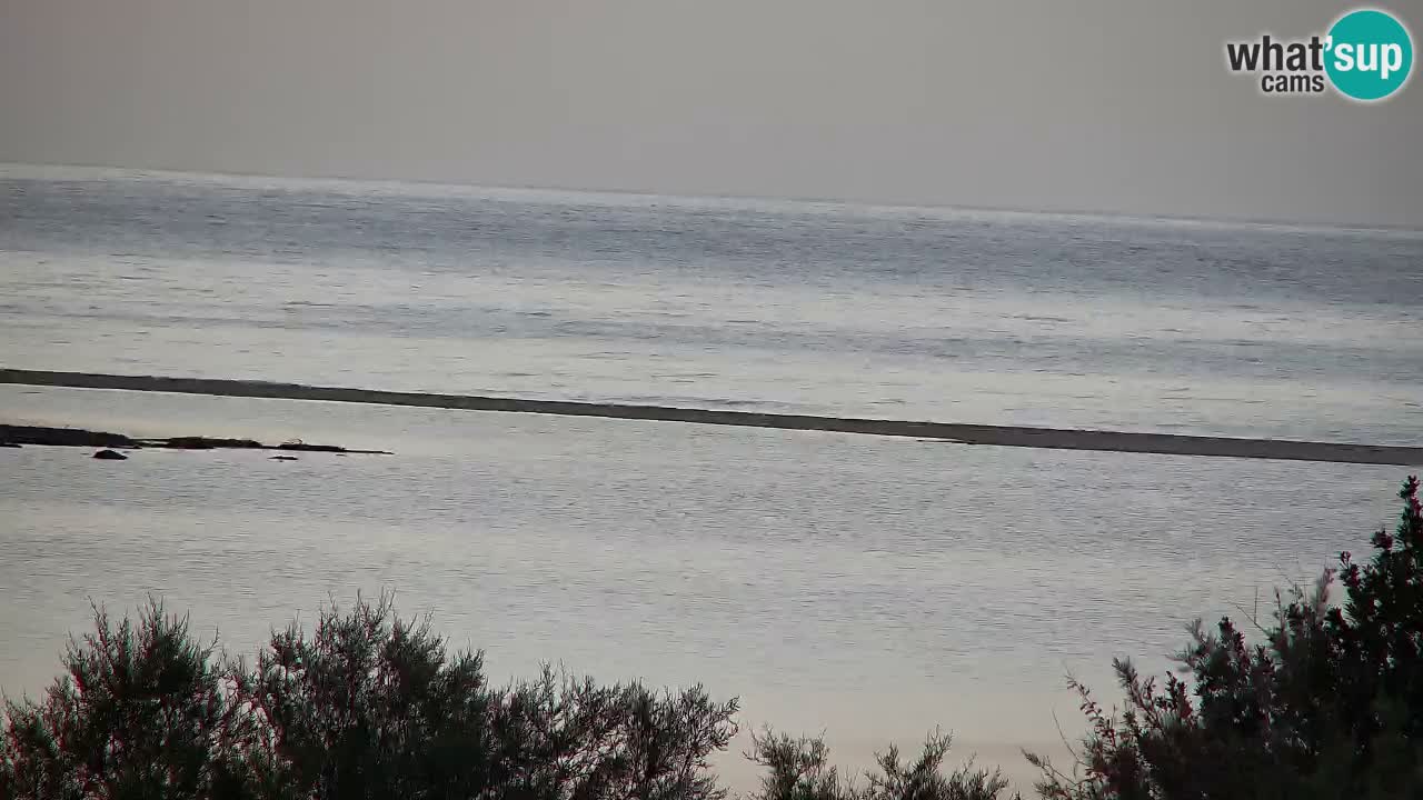 Webcam Chia – Live View of Su Giudeu Beach