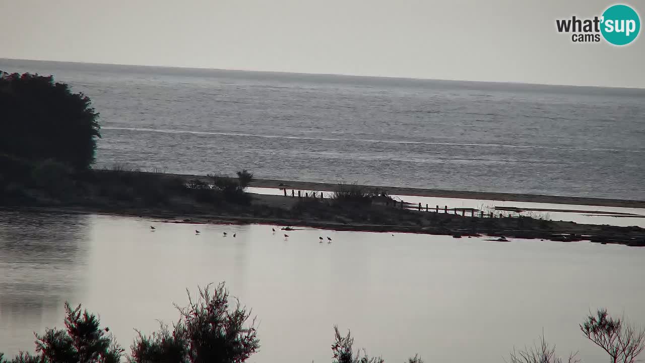 Webcam Chia – Liveblick auf den Strand Su Giudeu