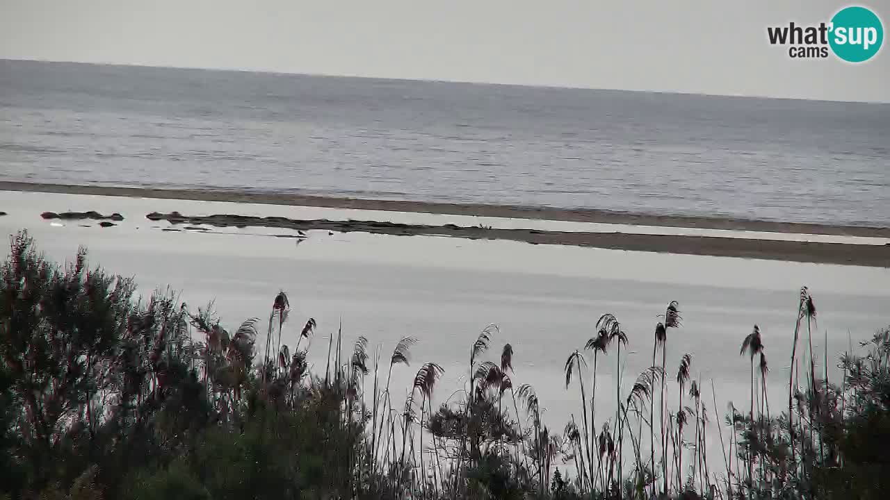 Webcam Chia – Live View of Su Giudeu Beach