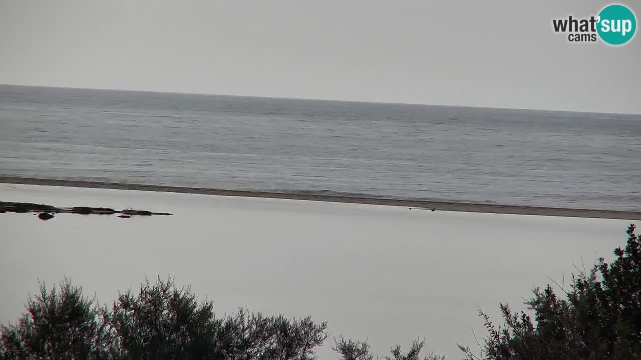 Spletna kamera Chia – Pogled v živo na plažo Su Giudeu