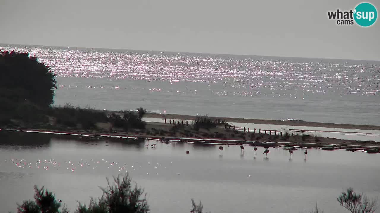 Webcam Chia – Vue en direct de la plage Su Giudeu