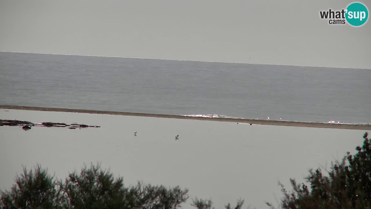 Webcam Chia – Vue en direct de la plage Su Giudeu